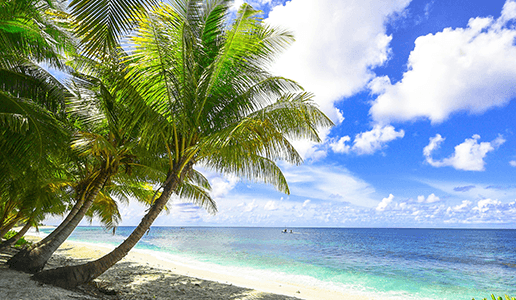 Featured image for sway